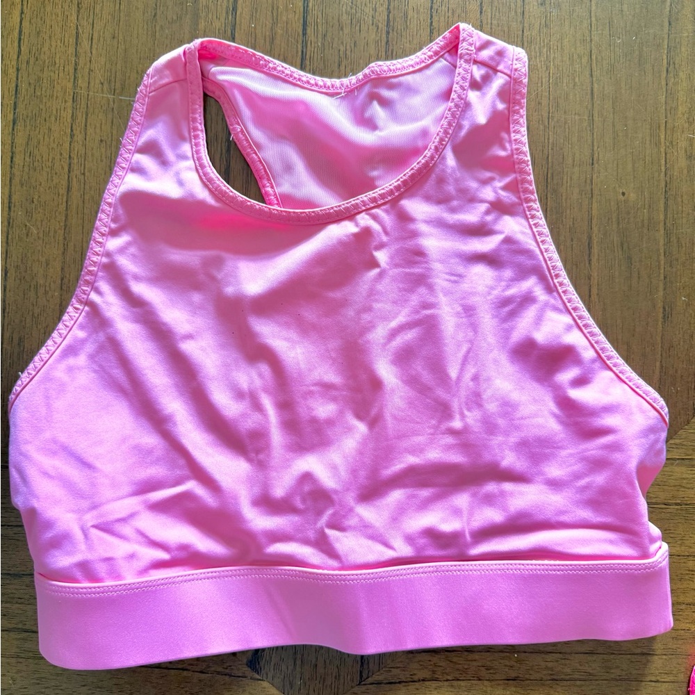 Fabletics No Bounce High Impact Bra- M
